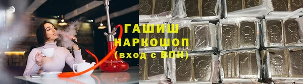 ПСИЛОЦИБИНОВЫЕ ГРИБЫ Гусев