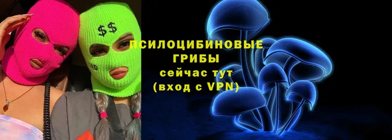 Псилоцибиновые грибы Cubensis  закладка  Райчихинск 